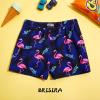 imageBRISIRA Boys Swim Trunks Bathing Suit Compression Boxer Brief Liner Swim Shorts Swimsuit AntiChafe Toddler Kids Youth TeenFlamingo