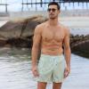 imageBRISIRA Mens Swim Trunks Swim Shorts Quick Dry 5 inch Inseam Beach Shorts with Compression Liner and Zipper PocketStripegreenwhite