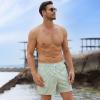 imageBRISIRA Mens Swim Trunks Swim Shorts Quick Dry 5 inch Inseam Beach Shorts with Compression Liner and Zipper PocketStripegreenwhite