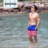 imageBRISIRA Mens Swim Trunks 5 Inch Compression Liner Beach Swim Shorts Bathing Suit Quick Dry 4Way Stretch PocketsUsa Flag