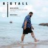 imageBRISIRA Big and Tall Hawaiian Shirts for Men Button Down Short Sleeves Shirts Beach Tropical Aloha Shirt with Pocket LT6XLTFlamingo