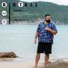imageBRISIRA Big and Tall Hawaiian Shirts for Men Button Down Short Sleeves Shirts Beach Tropical Aloha Shirt with Pocket LT6XLTFlamingo