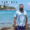 imageBRISIRA Big and Tall Hawaiian Shirts for Men Button Down Short Sleeves Shirts Beach Tropical Aloha Shirt with Pocket LT6XLTLight Blue Tropical