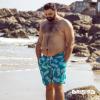 imageBRISIRA Big and Tall Mens Swim Trunks with Compression Liner Swimsuit Bathing Suit Swim Shorts Board Shorts Quick Dry 1X6XDarkcyanpineapple