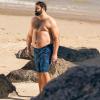 imageBRISIRA Big and Tall Swim Trunks for Men Bathing Suit with Mesh Lining Quick Dry Board Shorts Beach Swimsuit PocketBluetropical