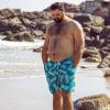 imageBRISIRA Big and Tall Swim Trunks for Men Bathing Suit with Mesh Lining Quick Dry Board Shorts Beach Swimsuit PocketDarkcyanpineapple