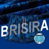 imageBRISIRA Mens Swim Trunks Bathing Suit 5 Inch Inseam Compression Liner Beach Swim Shorts Swimwear Quick Dry Zipper PocketBluetropical