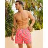 imageBRISIRA Mens Swim Trunks Bathing Suit 5 Inch Inseam Compression Liner Beach Swim Shorts Swimwear Quick Dry Zipper PocketPinkblue Flamingo