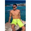 imageBRISIRA Mens Swim Trunks 9 Inch Inseam Board Shorts with Compression Liner Swimsuit Bathing Suit Quick Dry Cargo PocketFluorescent Green