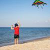 imageBRISIRA Toddler Boys Swim Trunks Swimsuit Boys Bathing Suit Compression Boxer Brief Liner AntiChafe Little Kids Baby 12m5tCartoon Fish