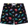 imageBRISIRA Boys Swim Trunks Bathing Suit with Mesh Liner Quick Dry Youth Teen Swim Shorts Kids Swimsuit UPF 50 5t16YBlack Dinosaur