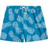 Darkcyan Pineapple
