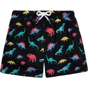 imageBRISIRA Boys Swim Trunks Bathing Suit with Mesh Liner Quick Dry Youth Teen Swim Shorts Kids Swimsuit UPF 50 5t16YBlack Dinosaur