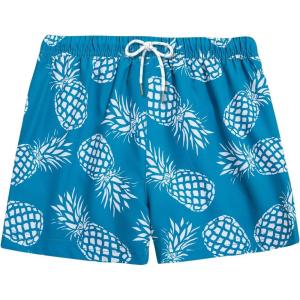 imageBRISIRA Boys Swim Trunks Bathing Suit with Mesh Liner Quick Dry Youth Teen Swim Shorts Kids Swimsuit UPF 50 5t16YDarkcyan Pineapple