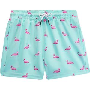 imageBRISIRA Boys Swim Trunks Bathing Suit with Mesh Liner Quick Dry Youth Teen Swim Shorts Kids Swimsuit UPF 50 5t16YMintflamingo