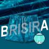image:imageBRISIRA Mens Swim Trunks Swim Shorts Quick Dry 5 inch Inseam Beach Shorts with Compression Liner and Zipper PocketGreentropical