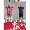 image:imageBRISIRA Big and Tall Hawaiian Shirts for Men Beach Tropical Floral Camp Collar Button Down Summer Aloha Vacation Shirt L6XLRed Floral 01