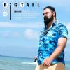 image:imageBRISIRA Big and Tall Hawaiian Shirts for Men Button Down Short Sleeves Beach Tropical ShirtBlue Palm Tree