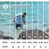 image:imageBRISIRA Big and Tall Hawaiian Shirts for Men Button Down Short Sleeves Beach Tropical ShirtLight Blue Tropical