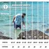 image:imageBRISIRA Big and Tall Hawaiian Shirts for Men Button Down Short Sleeves Beach Tropical ShirtLight Blue Tropical
