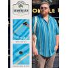 image:imageBRISIRA Big and Tall Mens Hawaiian Shirt  Short Sleeve Beach Aloha Tropical Cuban Button Down Casual Vacation Shirt L6XLBlue Stripe