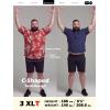 image:imageBRISIRA Big and Tall Mens Hawaiian Shirt  Short Sleeve Beach Aloha Tropical Cuban Button Down Casual Vacation Shirt L6XLRed Hibiscus