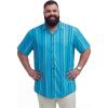 Blue Stripe