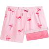 A Flamingo Stripe