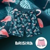 image:imageBRISIRA Mens Swim Trunks Swim Shorts 7 inch Compression Liner Bathing Suit Beach Shorts Swimwear Stretch Quick Dry PocketsBlue Flamingo Leaf
